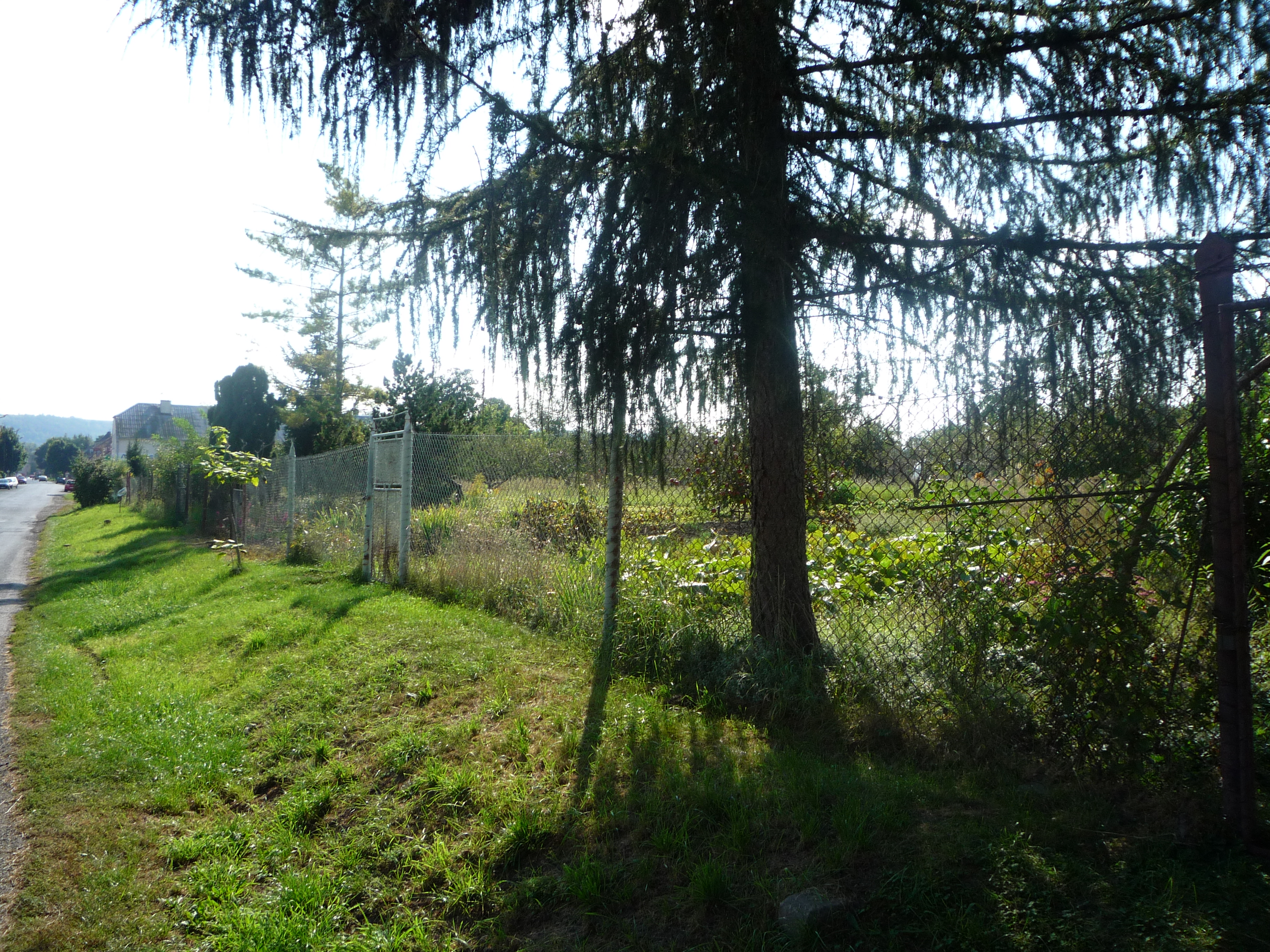 P1000828